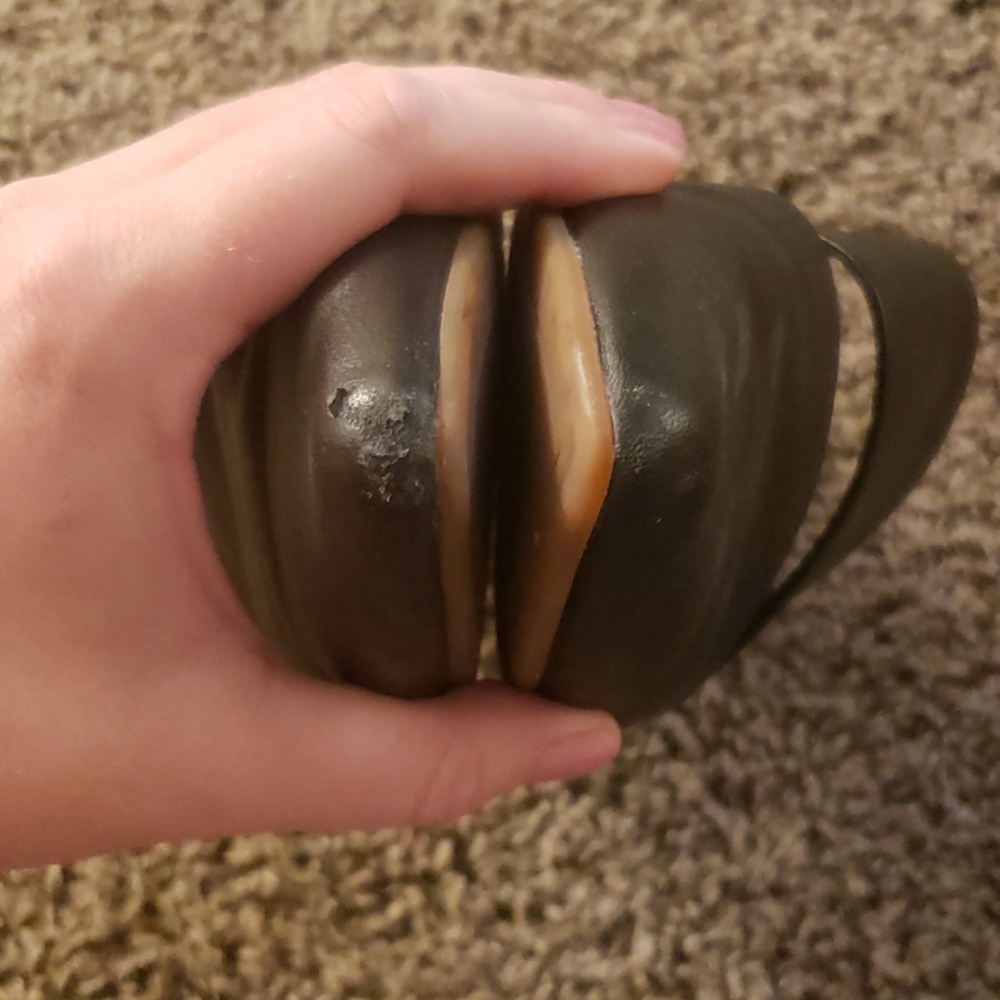 Splendid Slides - Picture 4 of 4